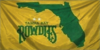 Tampa Bay flag 13.png