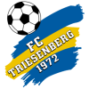 FC_Triesenberg2.png