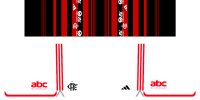 Flamengo shorts home White.png