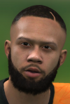 depay beard with hair detial.png
