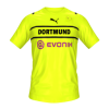 Borusija Dortmund UCL kits mini.png