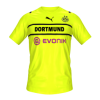 Borusija Dortmund UCL kit v2 mini.png
