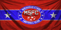 Michigan Stars flag 01a.png