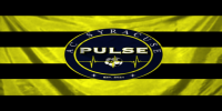 Syracuse Pulse Flag 04a.png