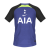 Tottenham Hotspur away kit mini.png