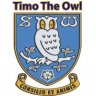 Timo The Owl
