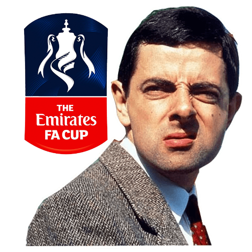 17-The Emirates FA Cup.png