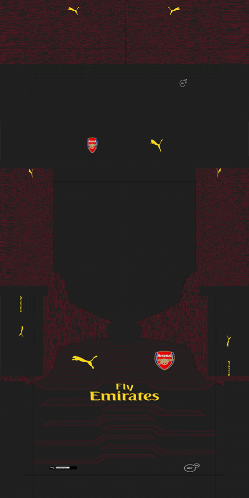 Arsenal 2018-19 GK Kit HD.png