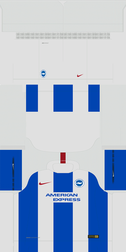 Brighton & Hove Albion 2018-19 Home Kit HD.png