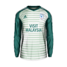 cardiff city gk.png