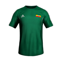ethiopia home 2014 0.png