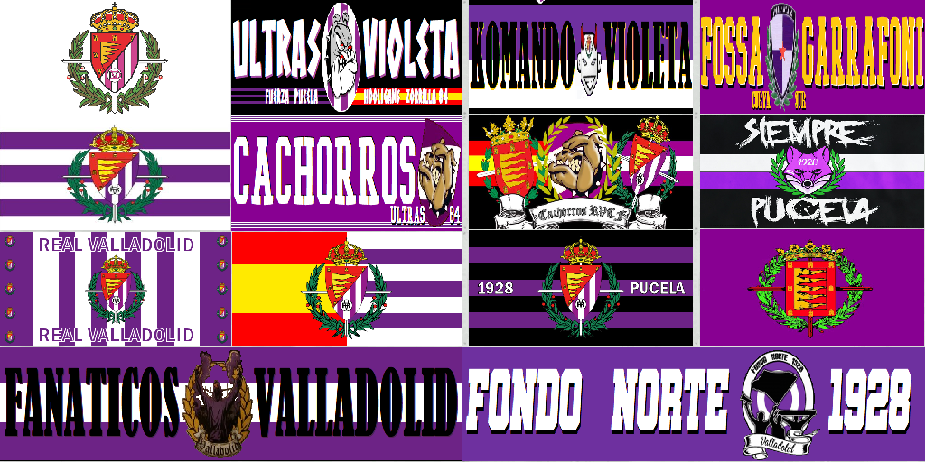F14  REAL   VALLADOLID    MNLX.png