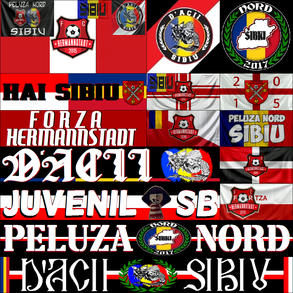 F20  FC  HERMANNSTADT    MNLX.png