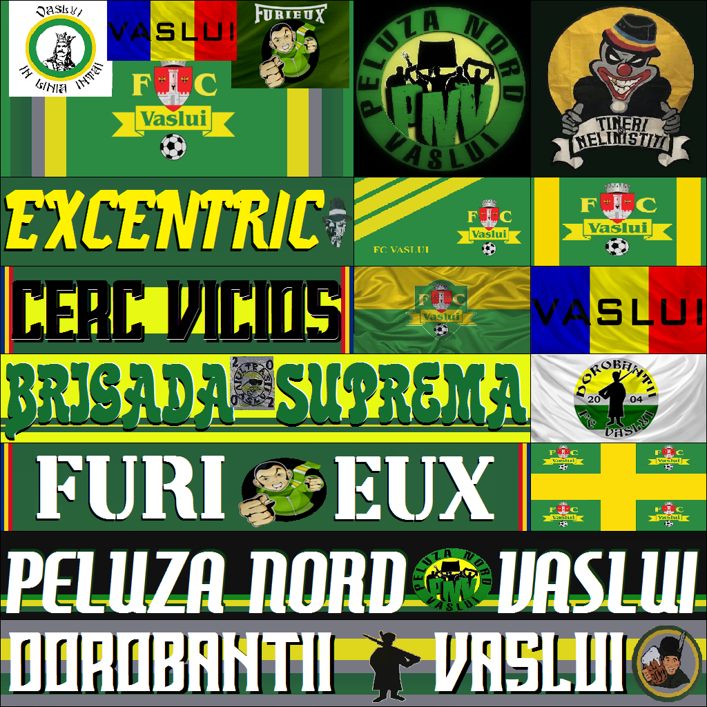 F20  FC VASLUI   MNLX.png