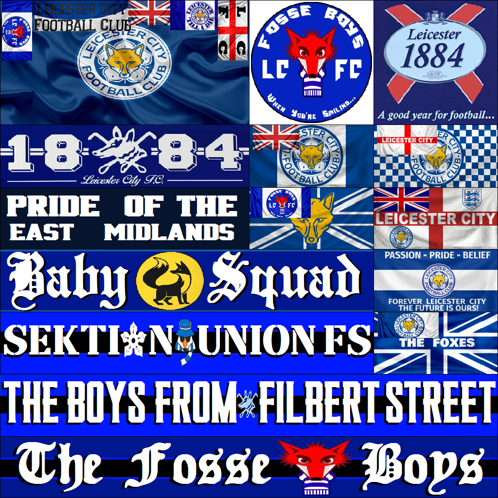 F20  LEICESTER  CITY   FC   MNLX.png