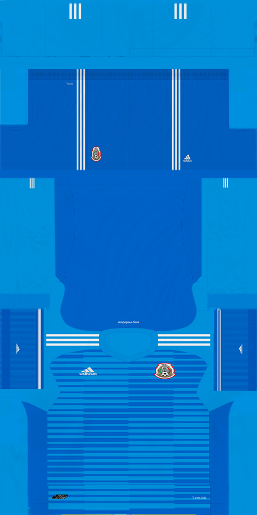 MEXICO 2018 WORLD CUP GK KIT 2 V(2).png