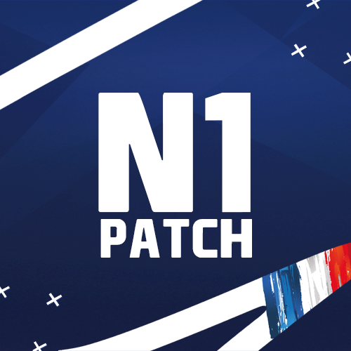 n1patch logo fmm.png
