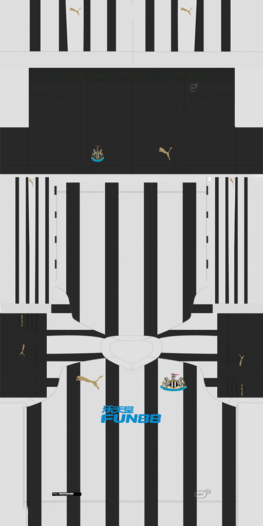 Newcastle United 2018-19 Home Kit HD.png