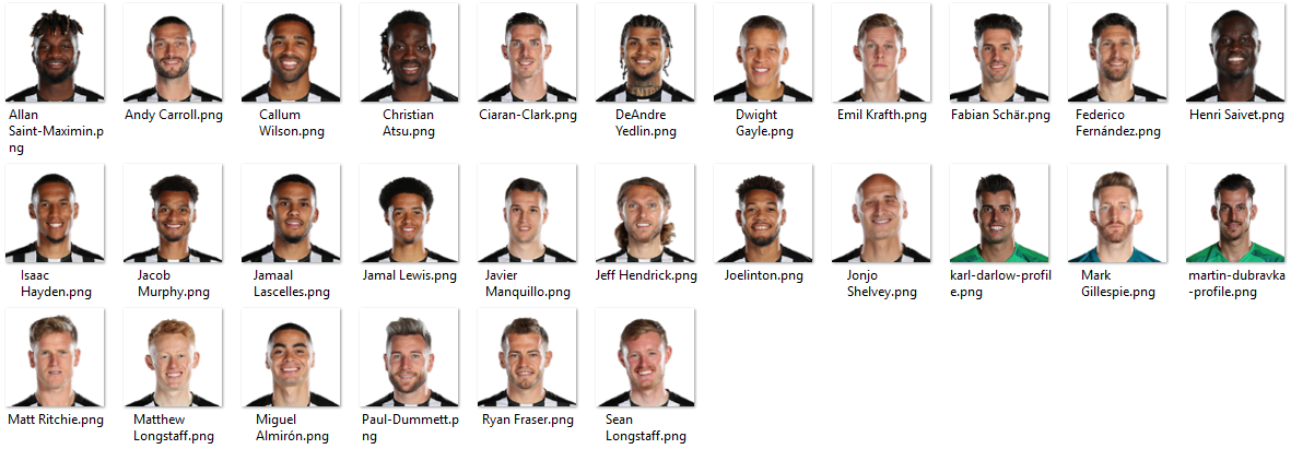 Newcastle United.png