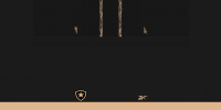 Botafogo Away Shorts.png