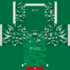 3rd shirt.png