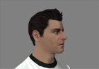 perprofil.png