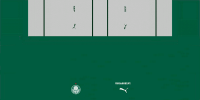 Palmeiras Away shorts.png