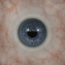 1-dark-blue.png