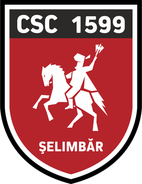 CSC_1599_Șelimbăr_logo.png