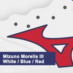 preview morelia III.png