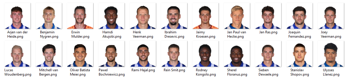 SC Heerenveen.png