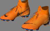 shoe_1605.png