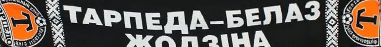 T.Zhodino_Scarf03.png